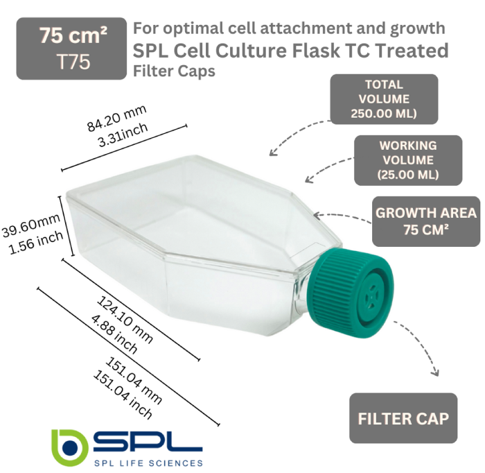 SPL T75Cell Culture Flask , Filter Cap